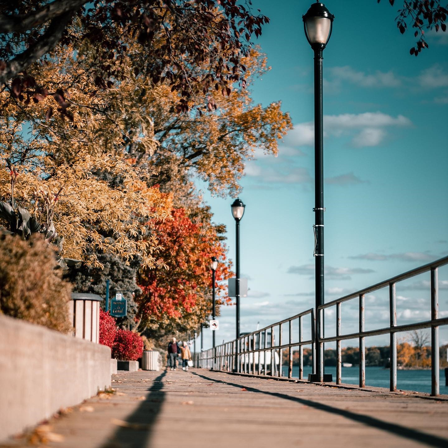 Fall on the Sainte-Anne-de-Bellevue pedestrian boardwalk